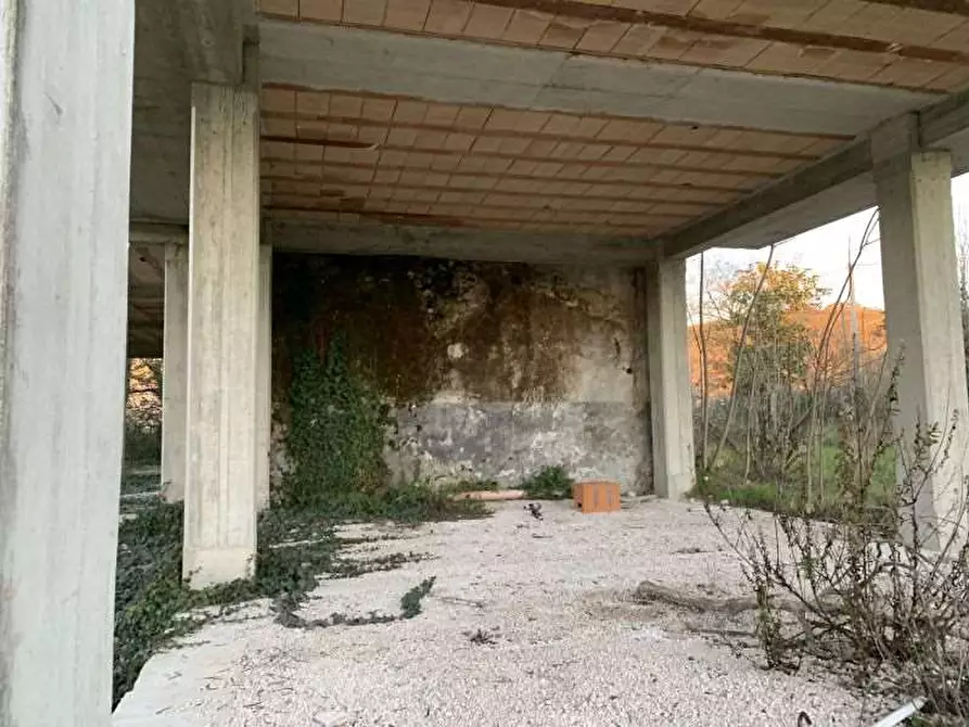 Immagine 2 di Terreno agricolo in vendita  in Via Campostefano, snc a Arce