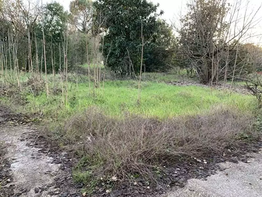 Immagine 9 di Terreno agricolo in vendita  in Via Campostefano, snc a Arce