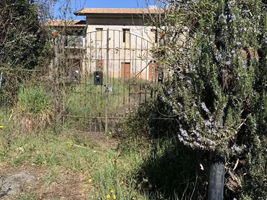 Immagine 10 di Terreno agricolo in vendita  in Via Campostefano, snc a Arce