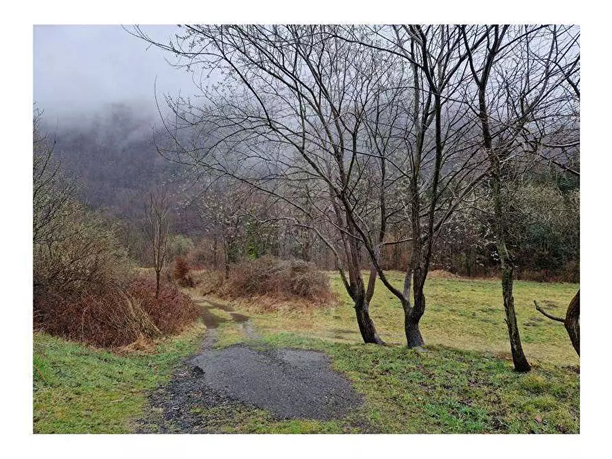 Immagine 5 di Terreno edificabile in vendita  in Via localita motto, 21039 valganna va, italia a Valganna