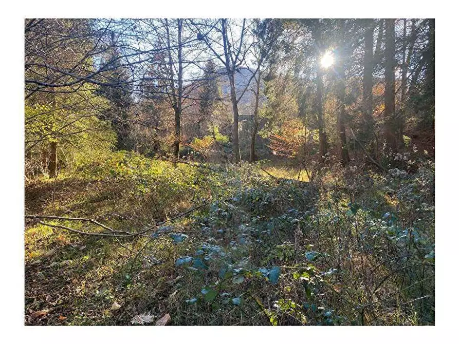 Immagine 8 di Terreno edificabile in vendita  in Via localita motto, 21039 valganna va, italia a Valganna