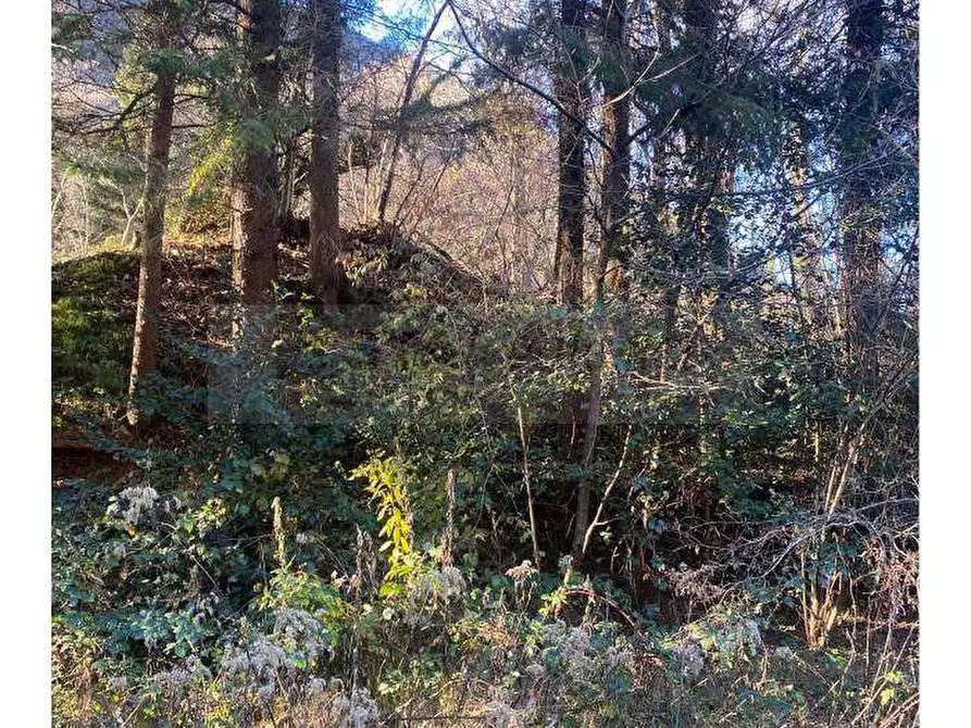 Immagine 9 di Terreno edificabile in vendita  in Via localita motto, 21039 valganna va, italia a Valganna