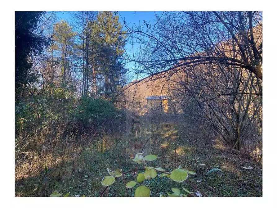 Immagine 10 di Terreno edificabile in vendita  in Via localita motto, 21039 valganna va, italia a Valganna