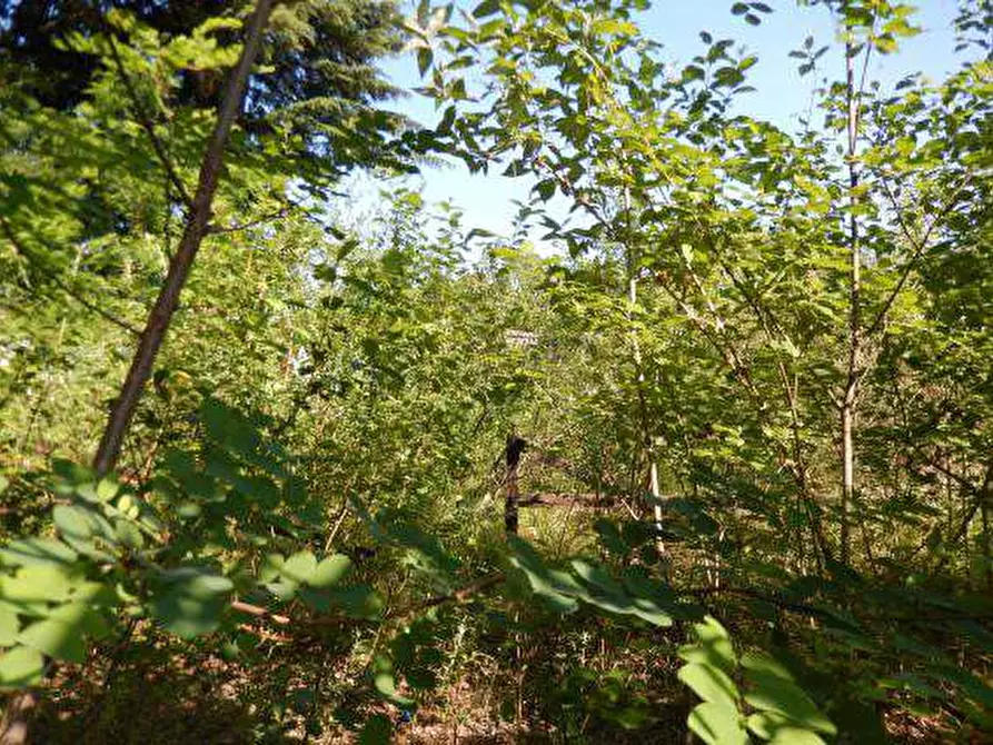 Immagine 5 di Terreno edificabile in vendita  in viale Aguggiari a Varese