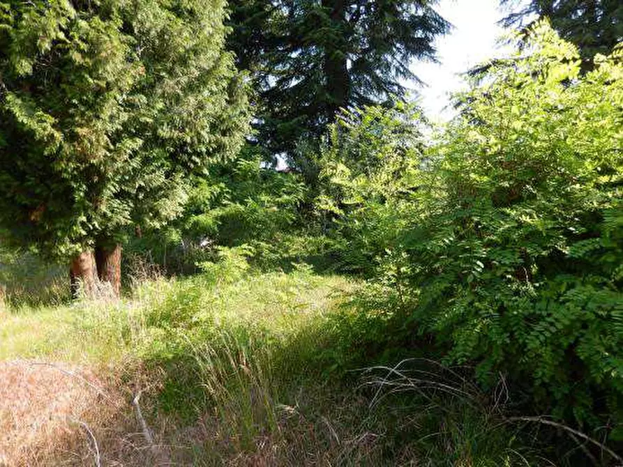 Immagine 6 di Terreno edificabile in vendita  in viale Aguggiari a Varese