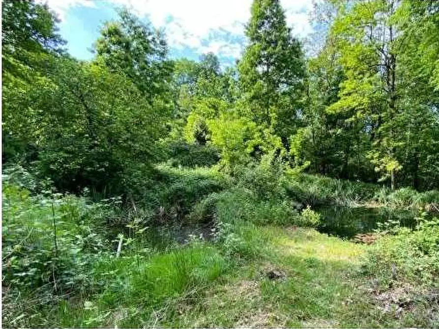 Immagine 2 di Terreno agricolo in vendita  in 21050 bisuschio va, italia a Bisuschio