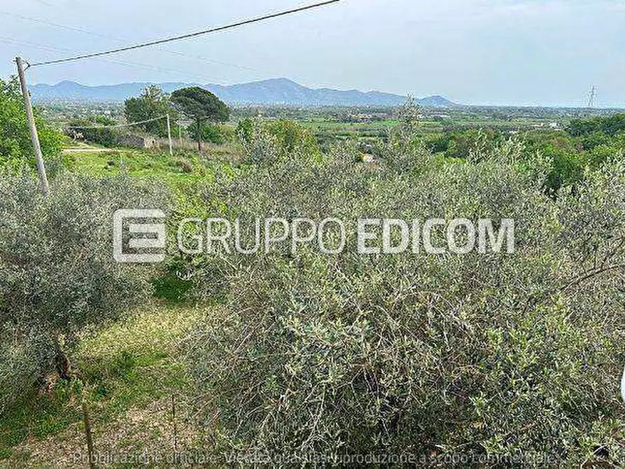 Immagine 14 di Appartamento in vendita  in Via lipuni, snc Snc a Minturno