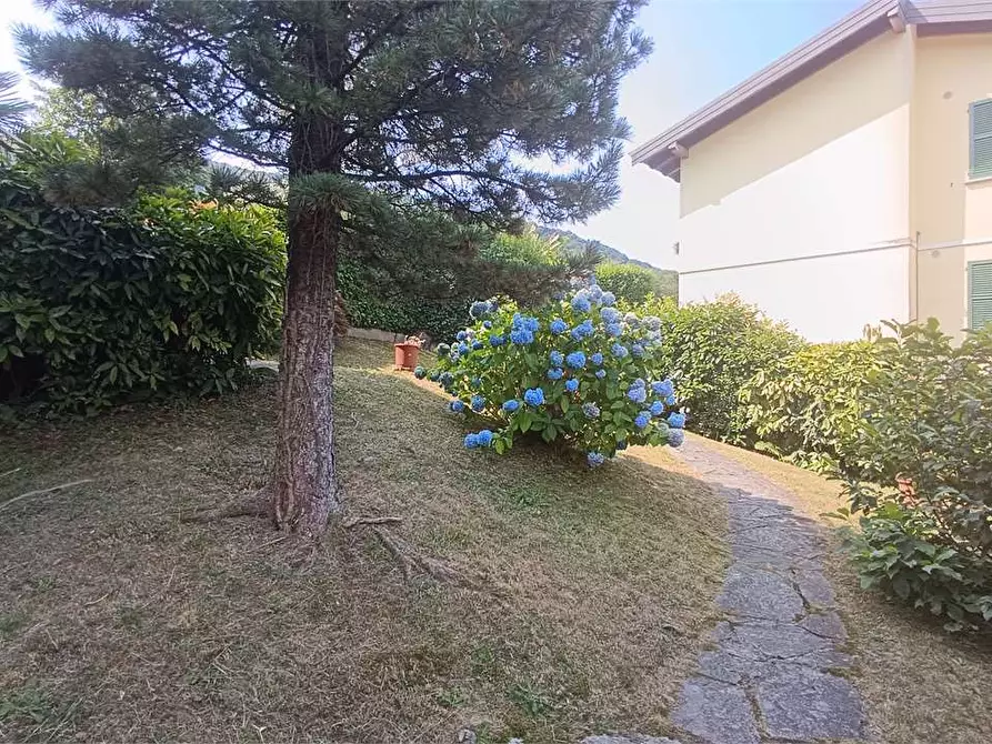 Immagine 22 di Appartamento in vendita  in Via Milano   13 a Orino