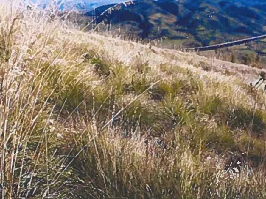 Immagine 3 di Terreno agricolo in vendita  in Contrada Balata Inici a Castellammare Del Golfo
