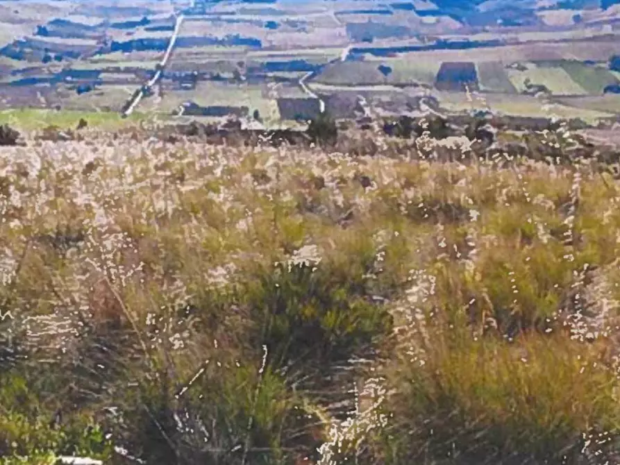 Immagine 7 di Terreno agricolo in vendita  in Contrada Balata Inici a Castellammare Del Golfo