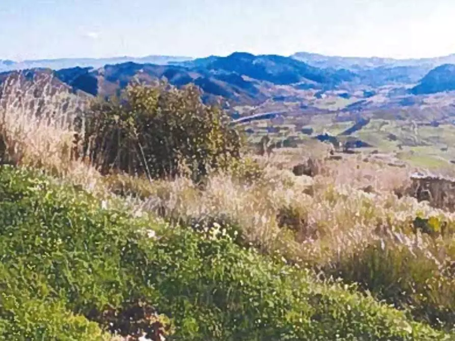 Immagine 9 di Terreno agricolo in vendita  in Contrada Balata Inici a Castellammare Del Golfo