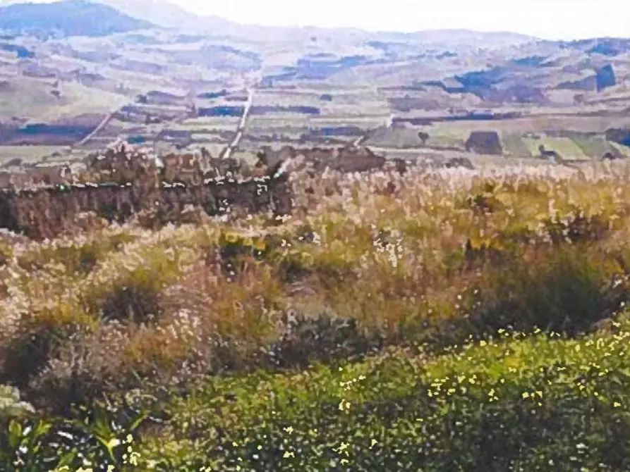 Immagine 10 di Terreno agricolo in vendita  in Contrada Balata Inici a Castellammare Del Golfo
