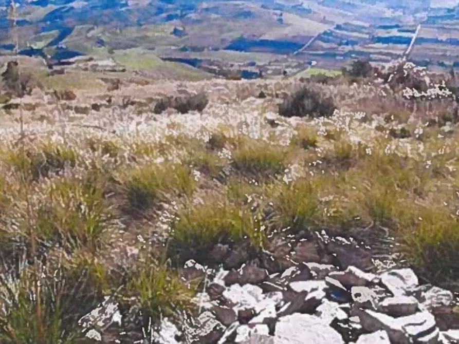 Immagine 11 di Terreno agricolo in vendita  in Contrada Balata Inici a Castellammare Del Golfo