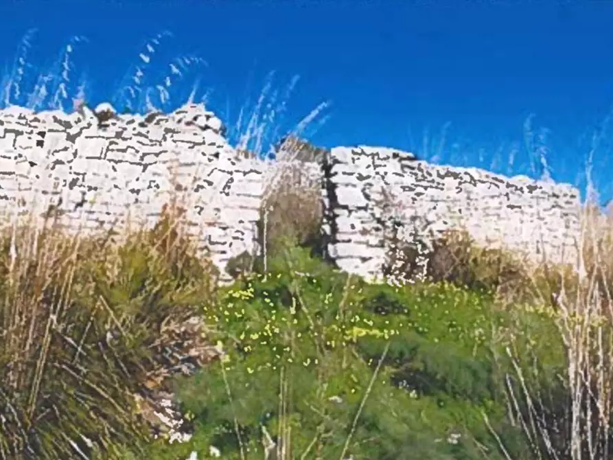 Immagine 13 di Terreno agricolo in vendita  in Contrada Balata Inici a Castellammare Del Golfo