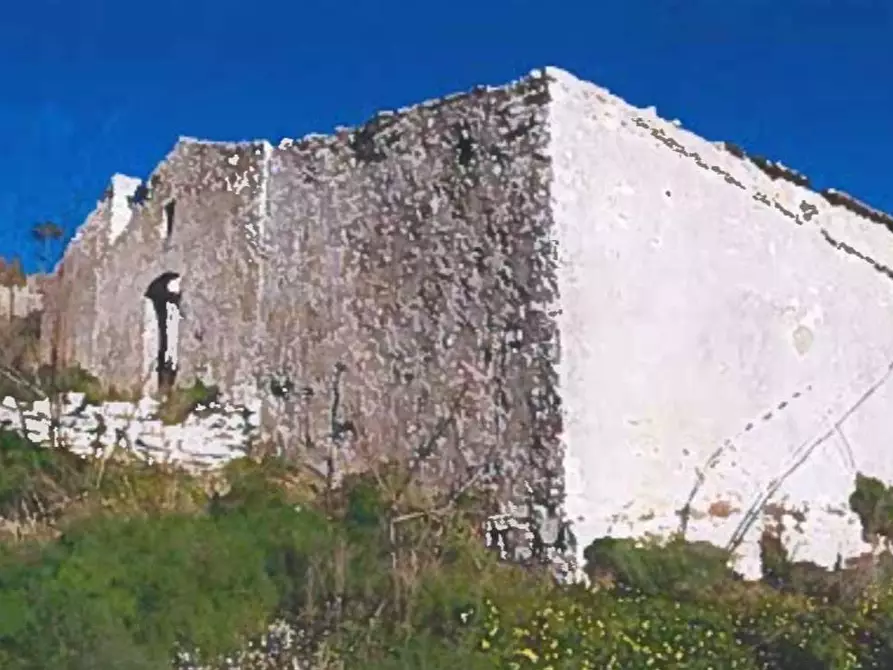 Immagine 15 di Terreno agricolo in vendita  in Contrada Balata Inici a Castellammare Del Golfo