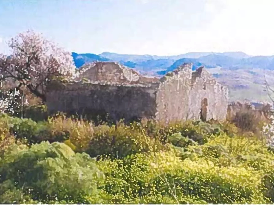 Immagine 16 di Terreno agricolo in vendita  in Contrada Balata Inici a Castellammare Del Golfo