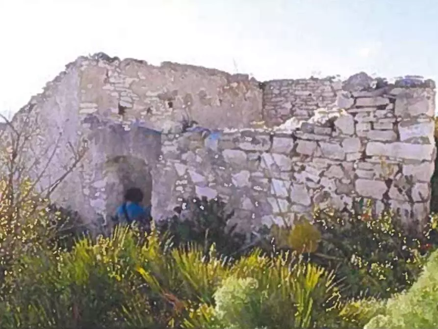 Immagine 17 di Terreno agricolo in vendita  in Contrada Balata Inici a Castellammare Del Golfo