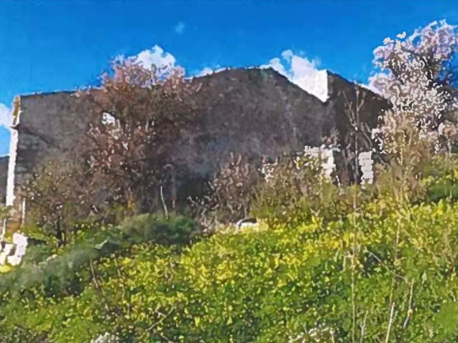 Immagine 18 di Terreno agricolo in vendita  in Contrada Balata Inici a Castellammare Del Golfo