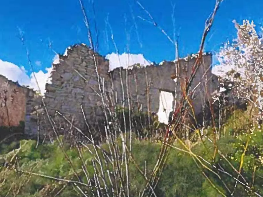 Immagine 19 di Terreno agricolo in vendita  in Contrada Balata Inici a Castellammare Del Golfo