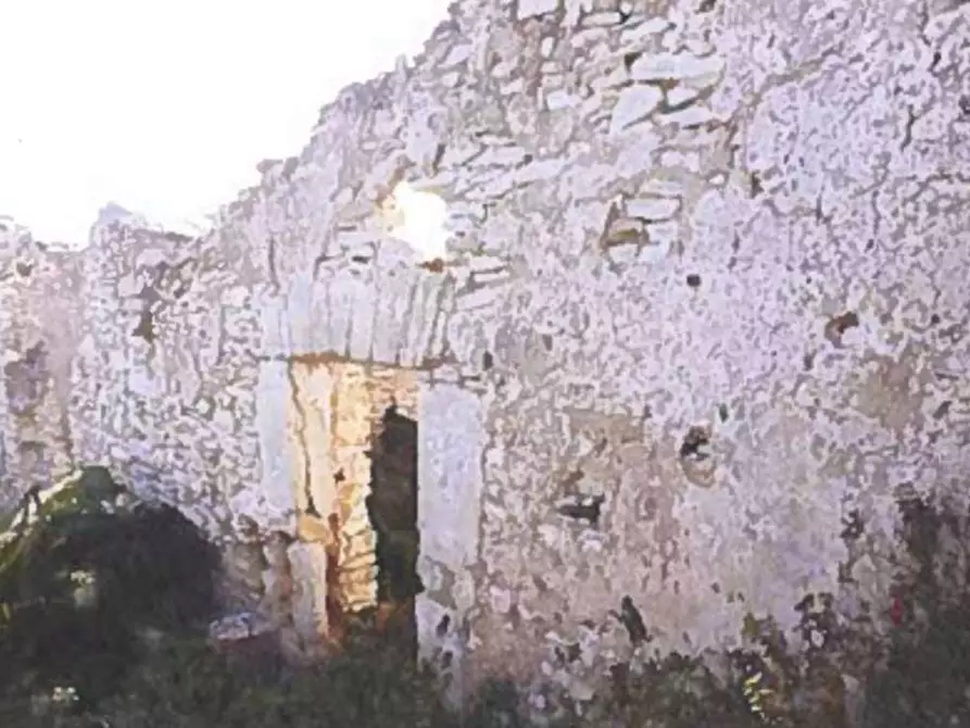 Immagine 20 di Terreno agricolo in vendita  in Contrada Balata Inici a Castellammare Del Golfo