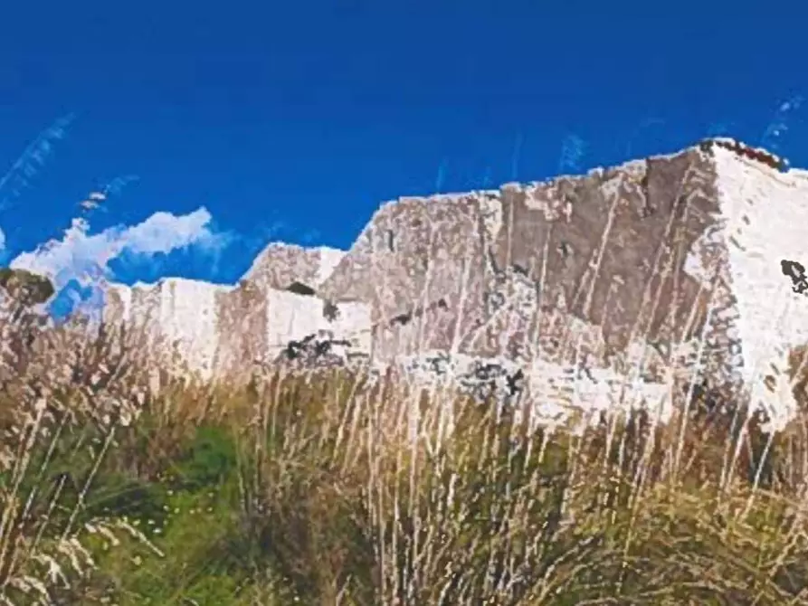 Immagine 22 di Terreno agricolo in vendita  in Contrada Balata Inici a Castellammare Del Golfo