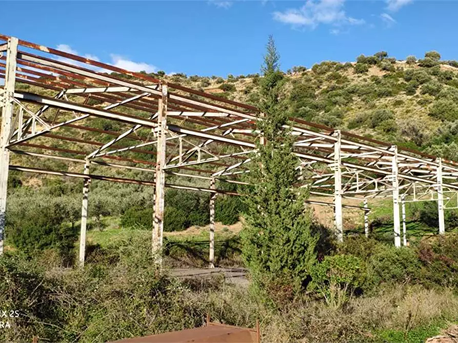 terreno agricolo in vendita a Caronia