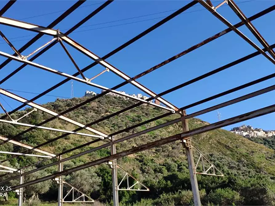 Immagine 4 di Terreno agricolo in vendita  in Contrà Fiumara  snc a Caronia