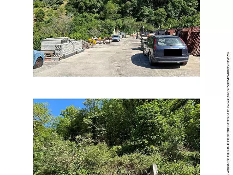 Immagine 4 di Terreno agricolo in vendita  in Contrada Dacuni a Patti