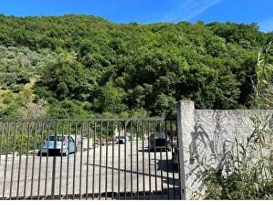 Immagine 5 di Terreno agricolo in vendita  in Contrada Dacuni a Patti