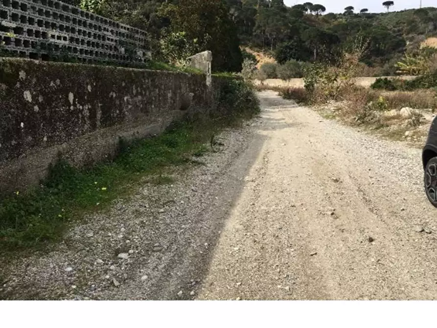 Immagine 2 di Terreno agricolo in vendita  in Filicusa gesso a Messina