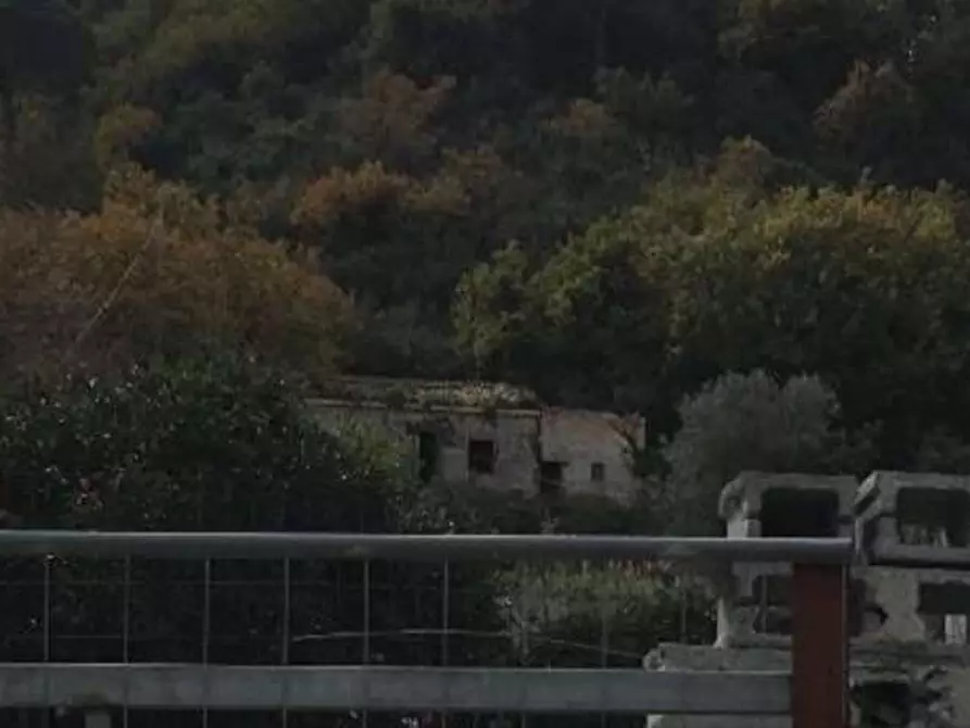 Immagine 5 di Terreno agricolo in vendita  in Filicusa gesso a Messina