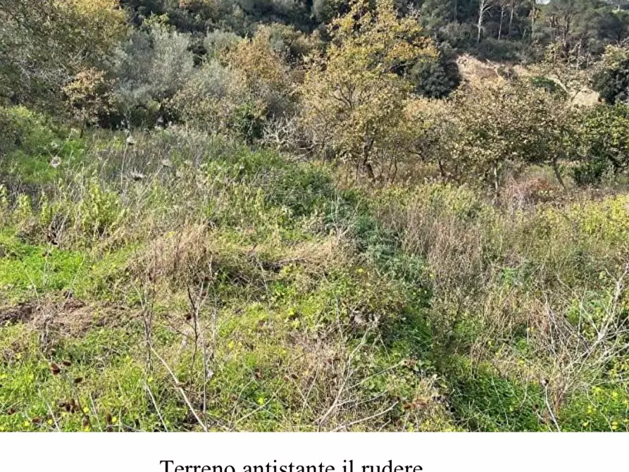 Immagine 6 di Terreno agricolo in vendita  in Filicusa gesso a Messina