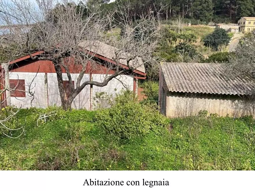 Immagine 7 di Terreno agricolo in vendita  in Filicusa gesso a Messina