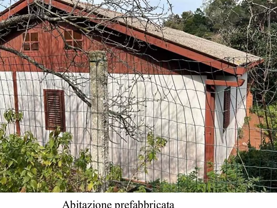 Immagine 8 di Terreno agricolo in vendita  in Filicusa gesso a Messina