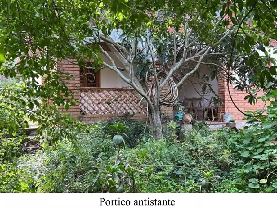 Immagine 9 di Terreno agricolo in vendita  in Filicusa gesso a Messina