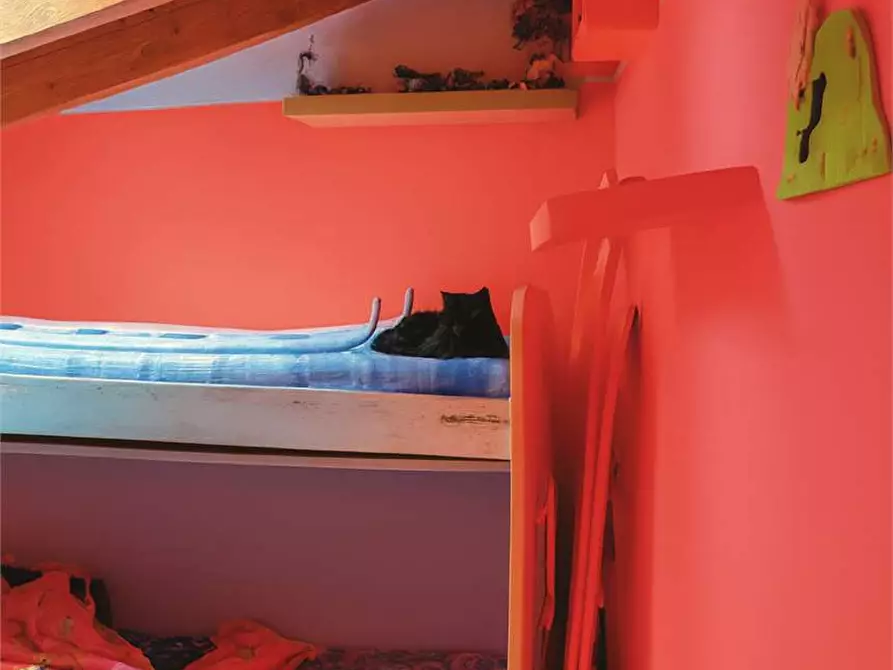 Immagine 10 di Appartamento in vendita  in Via dante alighieri 11 a Origgio