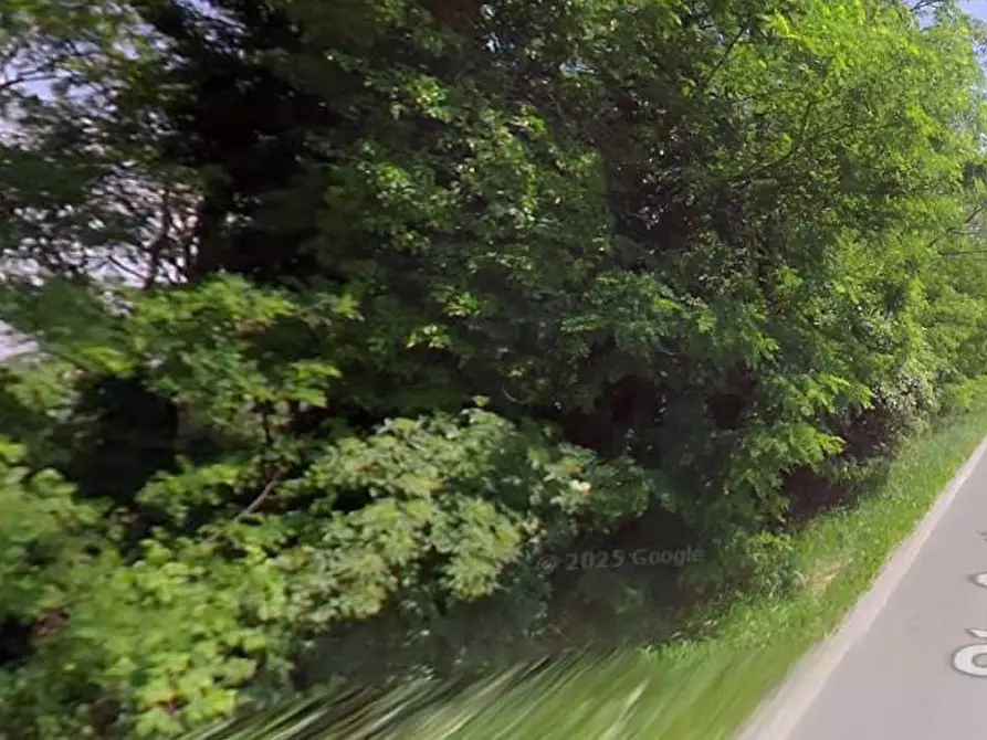 Immagine 2 di Terreno agricolo in vendita  in strada costiera a Cornate D'adda