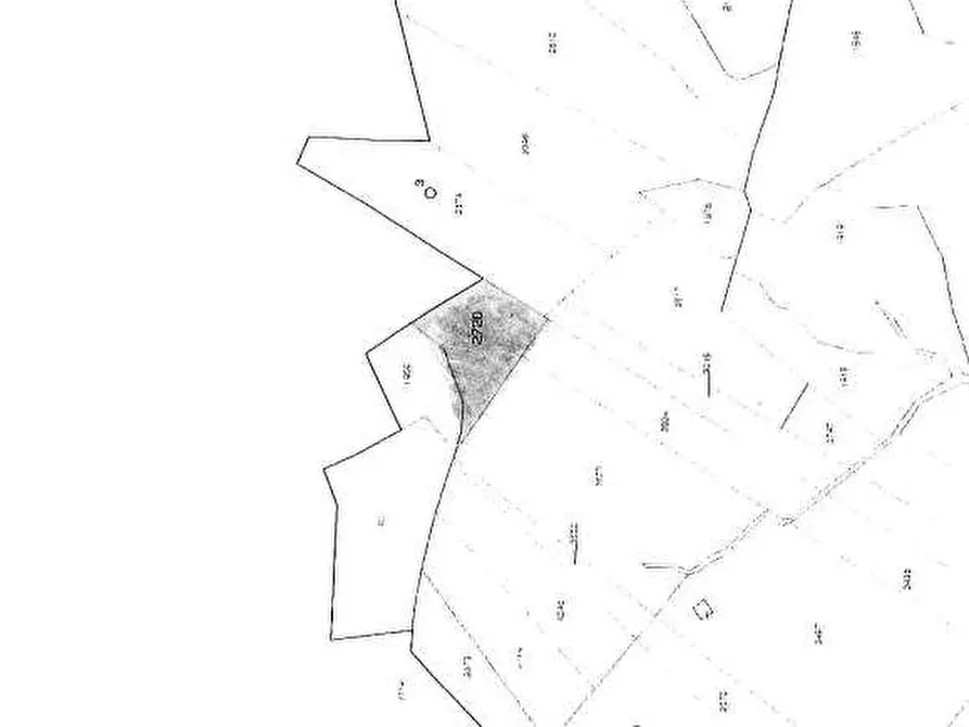 Immagine 2 di Terreno agricolo in vendita  in Località Campo dei Fiori a Cocquio-Trevisago