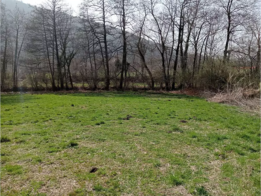 Immagine 2 di Terreno agricolo in vendita  in Via A. Rossi 23 a Bedero Valcuvia
