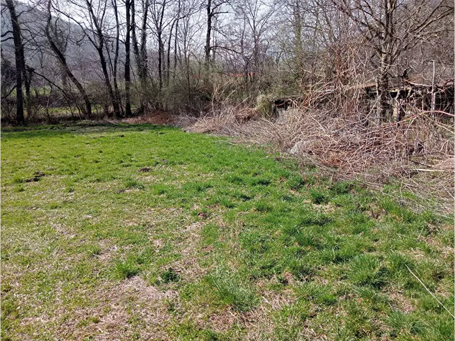 Immagine 3 di Terreno agricolo in vendita  in Via A. Rossi 23 a Bedero Valcuvia