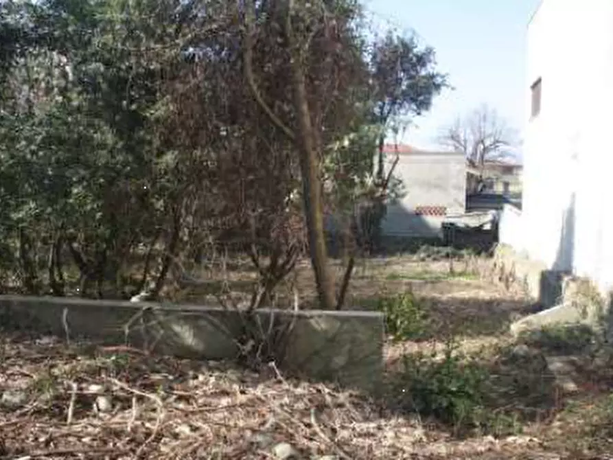 Immagine 2 di Villa in vendita  in Via Giuseppe Mazzini 38 a Somma Lombardo