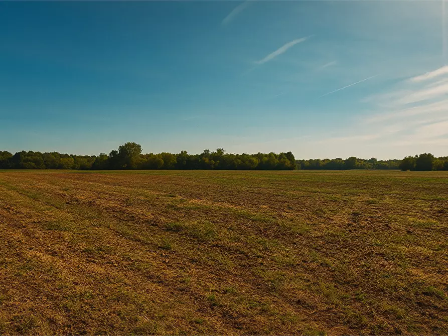 Immagine 1 di Terreno agricolo in vendita  in Via Campo dei Fiori a Saronno