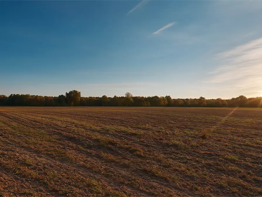 Immagine 2 di Terreno agricolo in vendita  in Via Campo dei Fiori a Saronno