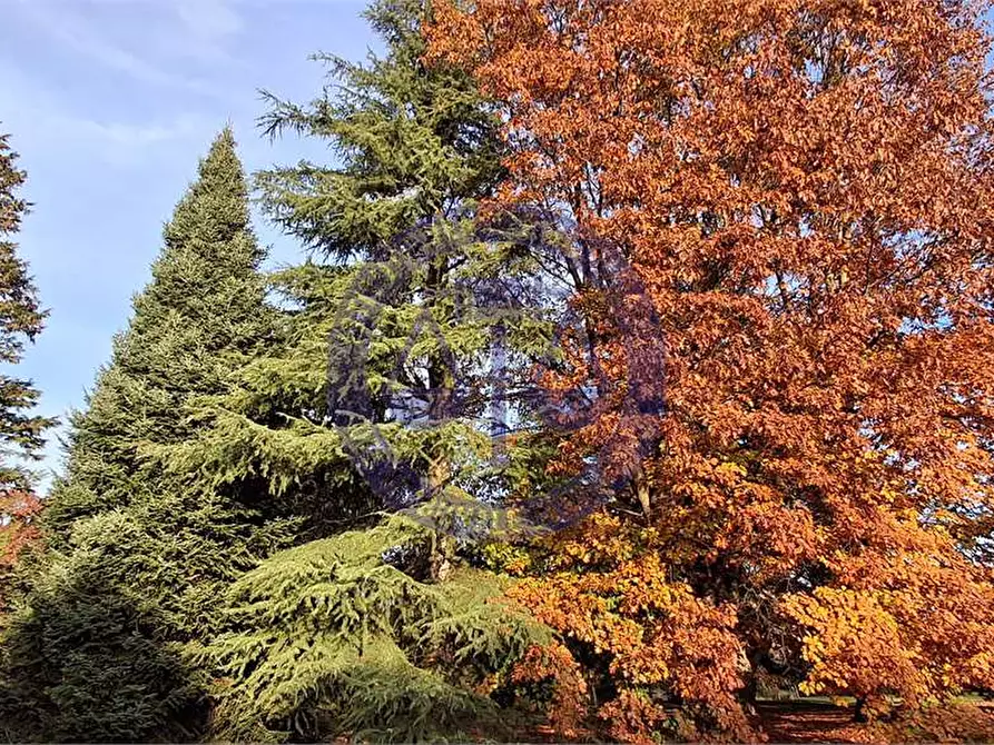 Immagine 91 di Appartamento in vendita  in Via Stanga Busca a Carate Brianza