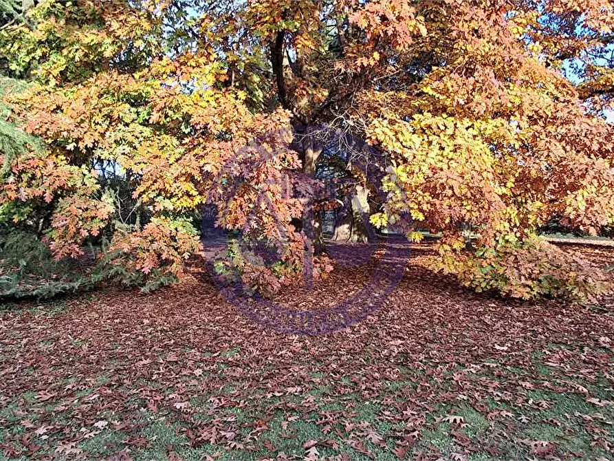 Immagine 93 di Appartamento in vendita  in Via Stanga Busca a Carate Brianza