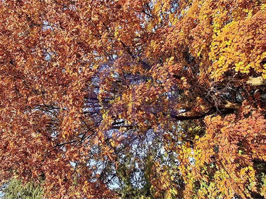 Immagine 94 di Appartamento in vendita  in Via Stanga Busca a Carate Brianza