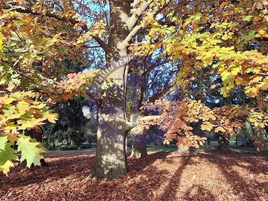 Immagine 100 di Appartamento in vendita  in Via Stanga Busca a Carate Brianza