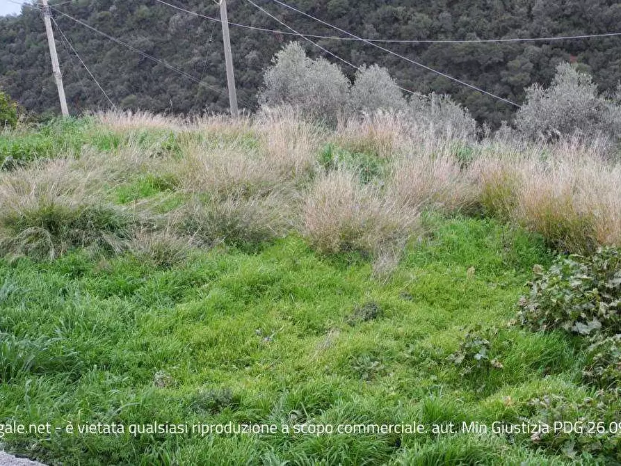 Immagine 2 di Appartamento in vendita  in Localita' Martinazzi 49 a Camporosso