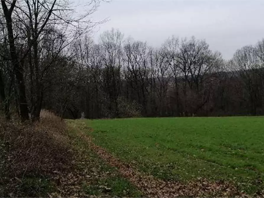 Immagine 4 di Terreno agricolo in vendita  in Via del Fontanone a Azzate
