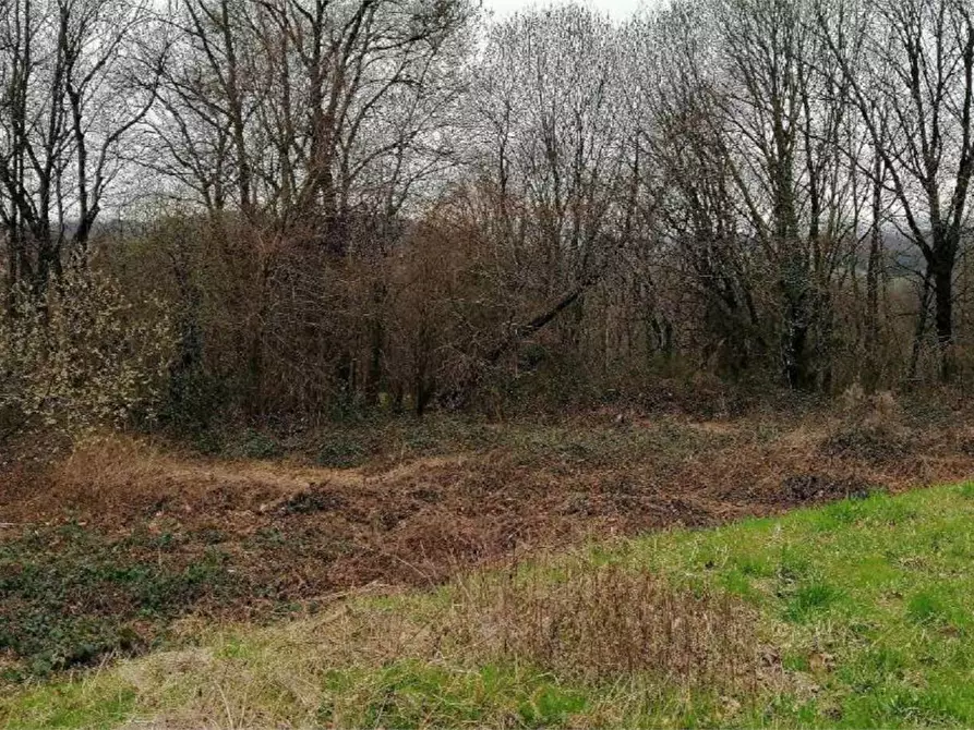 Immagine 5 di Terreno agricolo in vendita  in Via del Fontanone a Azzate
